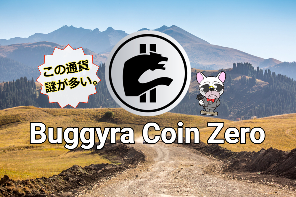 Buggyra Coin Zero