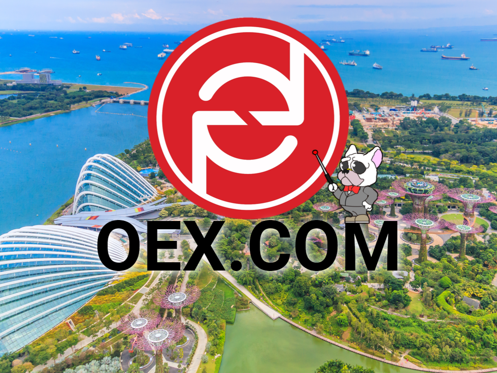 OEX（オーイーエックス）取引所