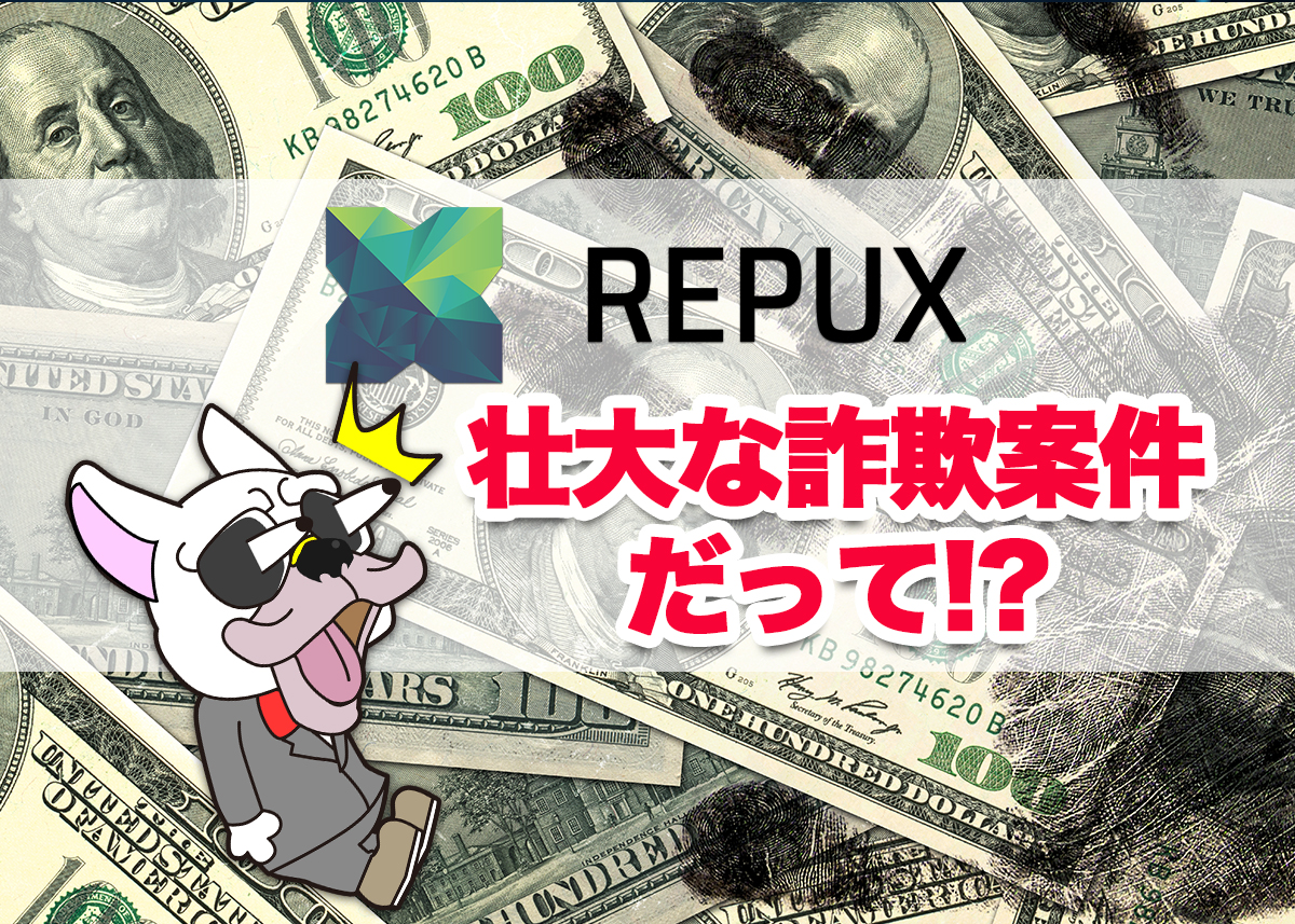 リパックス(Repux/PEX)