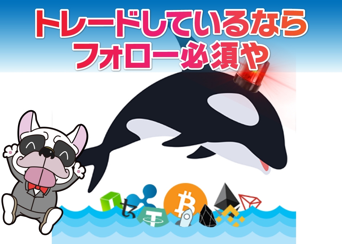 whale alert(ホエールアラート)